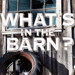 What's In The Barn