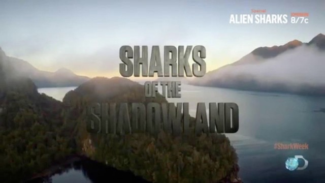 Sharks Of Shadowland