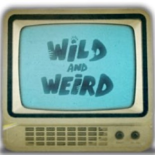 Wild And Weird